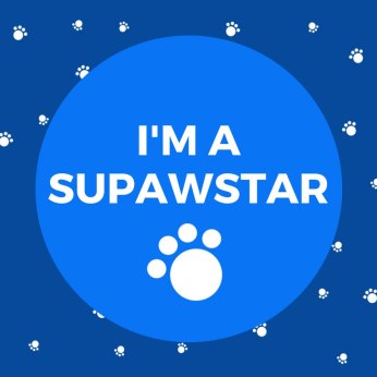 im-a-supawstar-pet-blogger