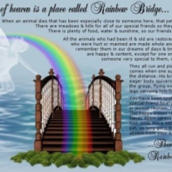 rainbowbridge-withpoem