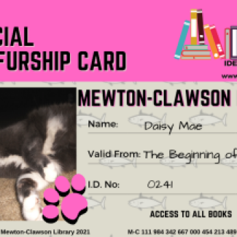 Daisy Mae's Mewton-Clawson Library Card